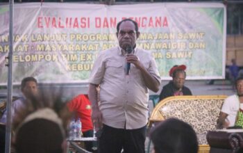 Petani Sawit Sambut Gembira Keberlanjutan Program Replanting Sawit Keerom