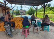 Manfaatkan Lahan Pekarangan Warga, Kapolsek Arso Timur Bersama Kelompok Tani Lakukan Penanaman Padi