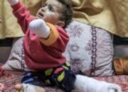 Prof Sutan Nasomal Pakar Hukum Internasional Minta Presiden Prabowo Subianto Perkuat Persenjataan RI Cegah Ancaman Serangan Asing Bantu Palestina Anak anak Terancam Dibantai Israel!!!