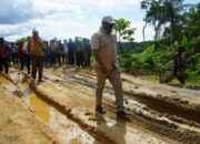 Komitmen Membangun Wilayah Tapal Batas, Bupati Keerom Tinjau Ruas Jalan Yang Rusak Di Distrik Yaffi