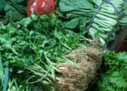Gila…!?, Harga Sayur Seledri Melambung Tinggi, Bahkan Hampir Hilang Di Pasar Cipanas Yang Terkenal Induk Penghasil Sayuran.