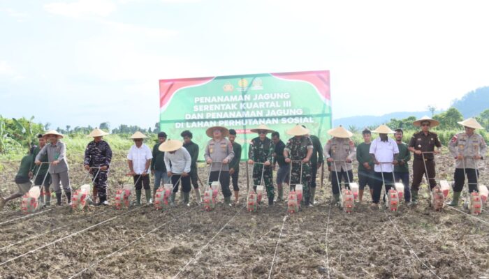 Penanaman Jagung Serentak Kuartal III, Polri Dan Masyarakat Wujudkan Ketahanan Pangan