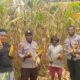 Polsek Senggi Bersama Kelompok Tani ‘Satu Hati Kampung Woslay’ Menggelar Panen Jagung dan Penanaman Padi Bersama.