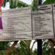 Reaksi cepat CV. Satya dalam perbaikan Talud