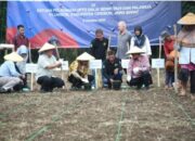 Bupati Imron Pastikan Kabupaten Cirebon Siap Kembangkan Sorgum