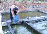 Sukses Berwirausaha, Bhabinkamtibmas di Pekalongan Raup Omzet Belasan Juta dari Budidaya Lele