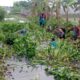 Cegah Banjir, Polisi Polsek Kapetakan dan TNI Kerja Bhakti bantu Warga Angkat Eceng gondok Terjun ke Sungai.