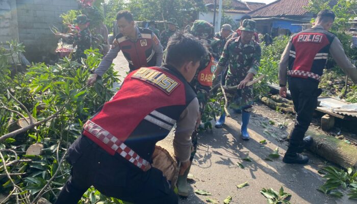 Angin Puting Beliung Terjang Mertasinga, Ratusan Warga Terdampak dan Polisi Bergerak Pulihkan Lingkungan