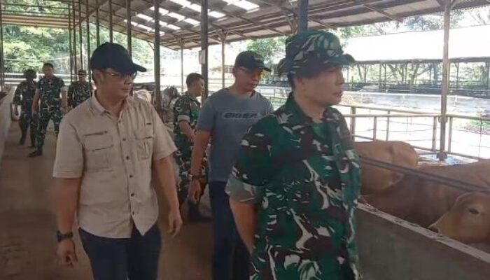 Dansektor 6 Citarum Harum Tinjau Pengelolaan Limbah Peternakan Sapi PT. Pasir Tengah Cikalongkulon
