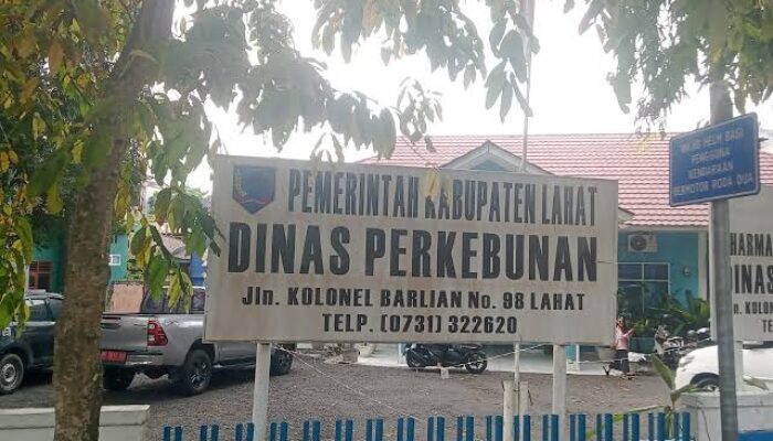 Bongkar Besarnya Anggaran DISBUN LAHAT Ta: 2024-2025″ Minta APH UJi Petik Program dan Kegiatan!!