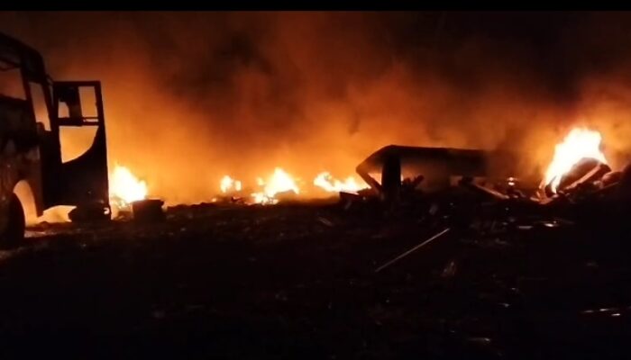 Jago merah lalapTempat Usaha hingga Merambat Body Mobil Bus, di Panguragan Cirebon