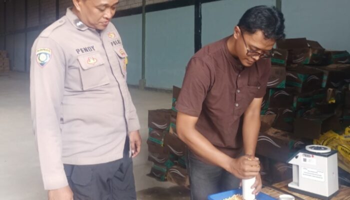 Polisi Turun ke Lahan, Panen Jagung Jadi Bukti Nyata Dukungan Ketahanan Pangan Warga di Cirebon