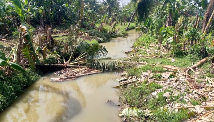 Jelang Pilkades 2027, Kades Jeruklegi Kulon Genjot Normalisasi Sungai Ciurang: Murni Kerja atau Strategi Politik?