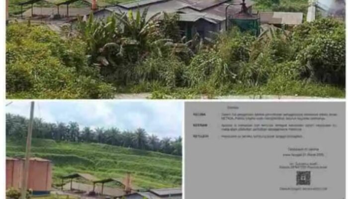 Prof. Sutan Nasomal : Pemerintah Bersama TNI POLRI Bersatu Tutup Permanen Perusahaan Melanggar Maupun Illegal Di Aceh Singkil Sikat Babat