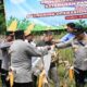 Sinergi Wujudkan Ketahanan Pangan, Polresta Cirebon Ikuti Panen Raya Jagung Serentak Bersama Presiden RI dan Kapolri