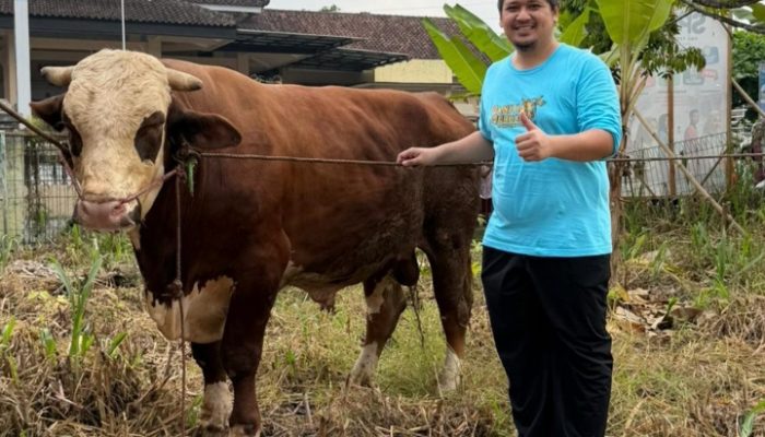 Rayakan Idul Adha dengan Besek Bambu, Bintang Romadhon Dorong Produk Lokal