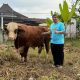 Rayakan Idul Adha dengan Besek Bambu, Bintang Romadhon Dorong Produk Lokal