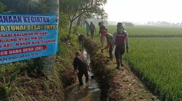 PKTD Normalisasi Saluran Irigasi 2 Km di Kp. Cijujung, Hektaran Sawah Kembali Terairi Lancar