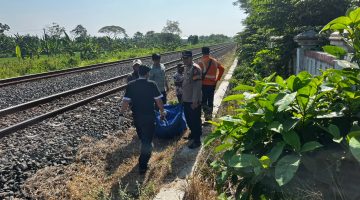 Pria Asal Waled Meninggal Dunia Diduga Tertemper KA Harina, Polisi Ingatkan Bahaya Melintas di Perlintasan Tanpa Palang Pintu