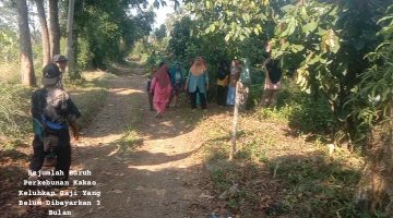 Gaji Tertahan 3-7 Bulan, Buruh Perkebunan Kakao Cianjur: Kebutuhan Keluarga Terus Berjalan