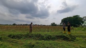 Polres Kuningan Dukung Program Strategis Pemerintah Pusat,Perkuat Ketahanan Pangan Nasional