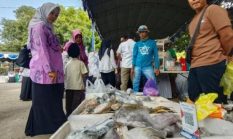 DKPP Kabupaten Cirebon Dorong Konsumsi Ikan Lewat Bazar dan Gemarikan