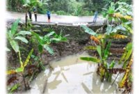 ALAN AMBLAS Pada Ruas Jalan Jambu – Gobang Sta. 5+600 Desa Leuwibatu Kecamatan Rumpin Sudah Tertangani Oleh UPTD IJJ Kelas A Wilayah V (Leuwiliang).